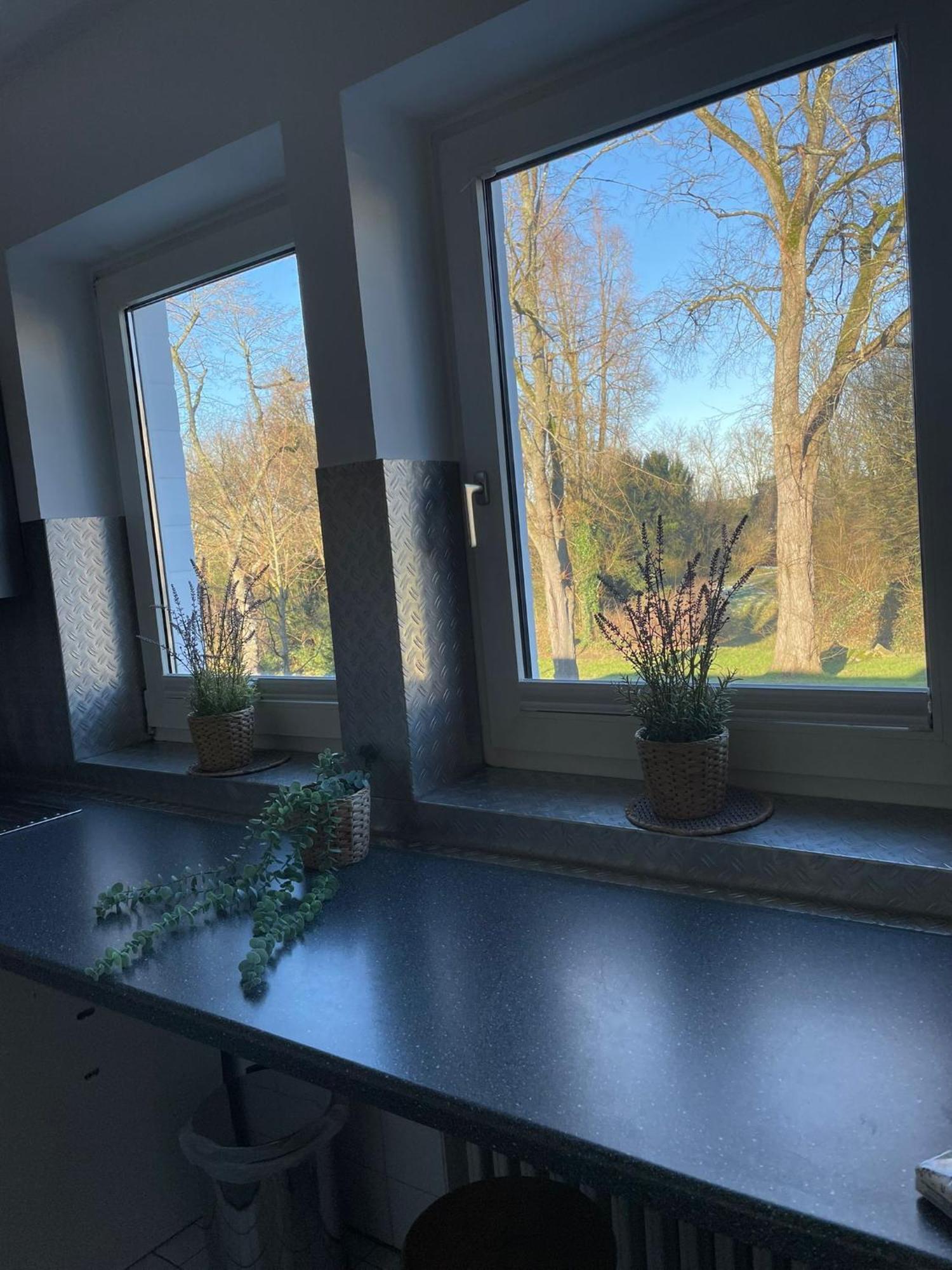 Ideale Unterkunft In Duesseldorf-Nord Экстерьер фото